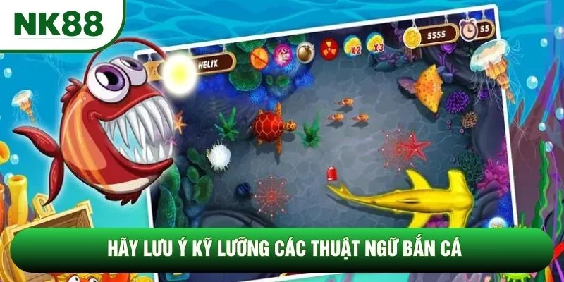 Hãy lưu ý kỹ lưỡng các thuật ngữ bắn cá