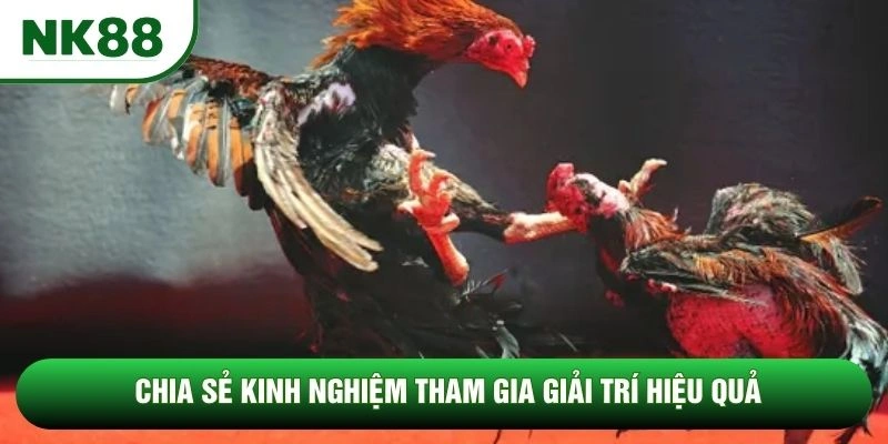 Chia sẻ kinh nghiệm tham gia giải trí hiệu quả Chia sẻ kinh nghiệm tham gia giải trí hiệu quả