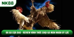 Đá Gà Cựa Dao - Review Hình Thức Chọi Gà Mãn Nhãn Uy Lực