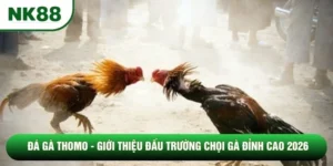Đá Gà Thomo - Giới Thiệu Đấu Trường Chọi Gà Đỉnh Cao 2026