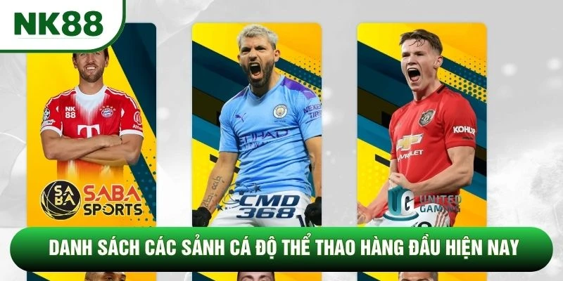 Danh sách các sảnh cá độ thể thao hàng đầu hiện nay