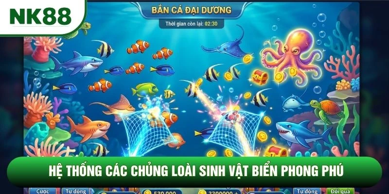 Hệ thống các chủng loài sinh vật biển phong phú Hệ thống các chủng loài sinh vật biển phong phú