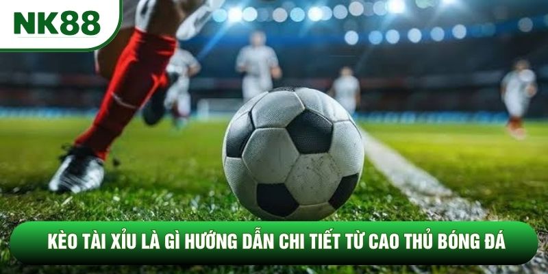 Kèo Tài Xỉu Là Gì Hướng Dẫn Chi Tiết Từ Cao Thủ Bóng Đá
