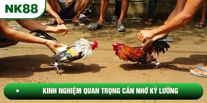 Kinh nghiệm quan trọng cần nhớ kỹ lưỡng