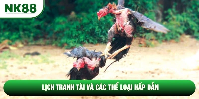 Lịch tranh tài và các thể loại hấp dẫn