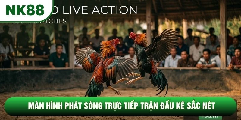 Màn hình phát sóng trực tiếp trận đấu kê sắc nét