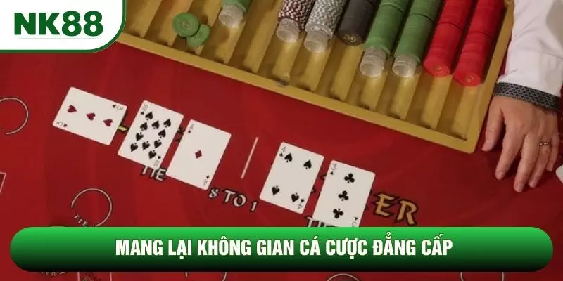 Mang lại không gian cá cược đẳng cấp Mang lại không gian cá cược đẳng cấp