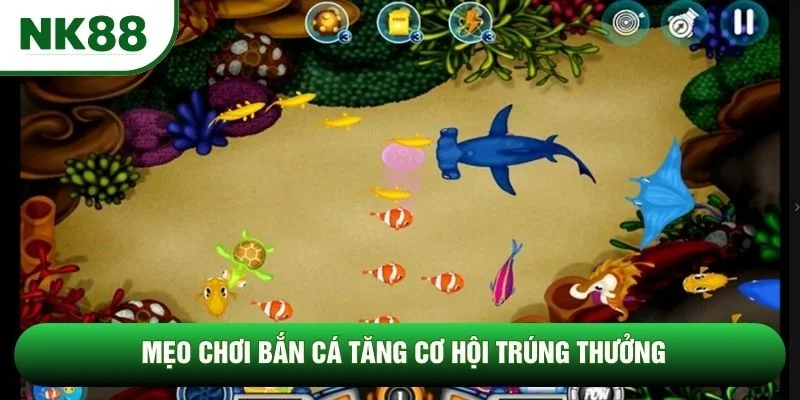 Mẹo Chơi Bắn Cá Dành Cho Tân Binh, Tăng Cơ Hội Trúng Thưởng