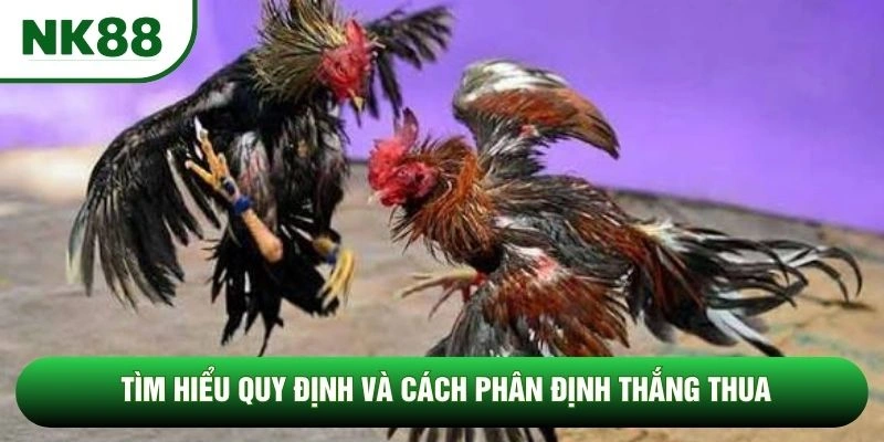 Tìm hiểu quy định và cách phân định thắng thua Tìm hiểu quy định và cách phân định thắng thua