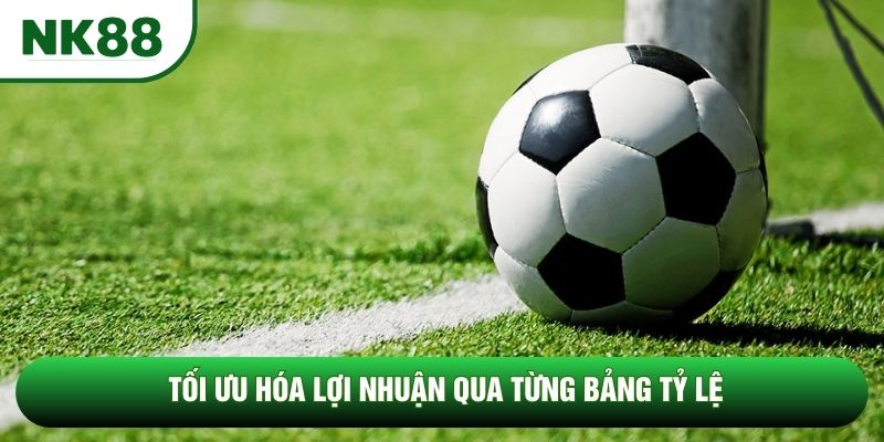 Tối ưu hóa lợi nhuận qua từng bảng tỷ lệ Tối ưu hóa lợi nhuận qua từng bảng tỷ lệ